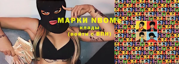 apvp Туринск