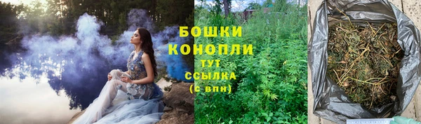 apvp Туринск