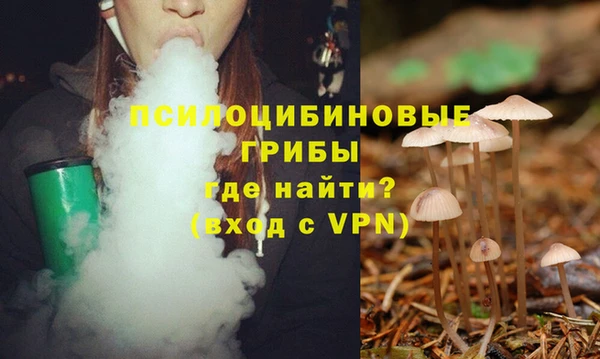 apvp Туринск