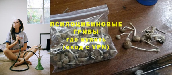 apvp Туринск