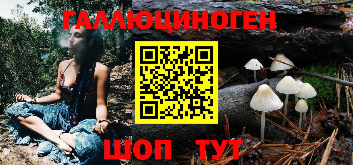 Галлюциногенные грибы MAGIC MUSHROOMS  Галлюциногенные грибы прущие грибы  Благовещенск  Вход с VPN 