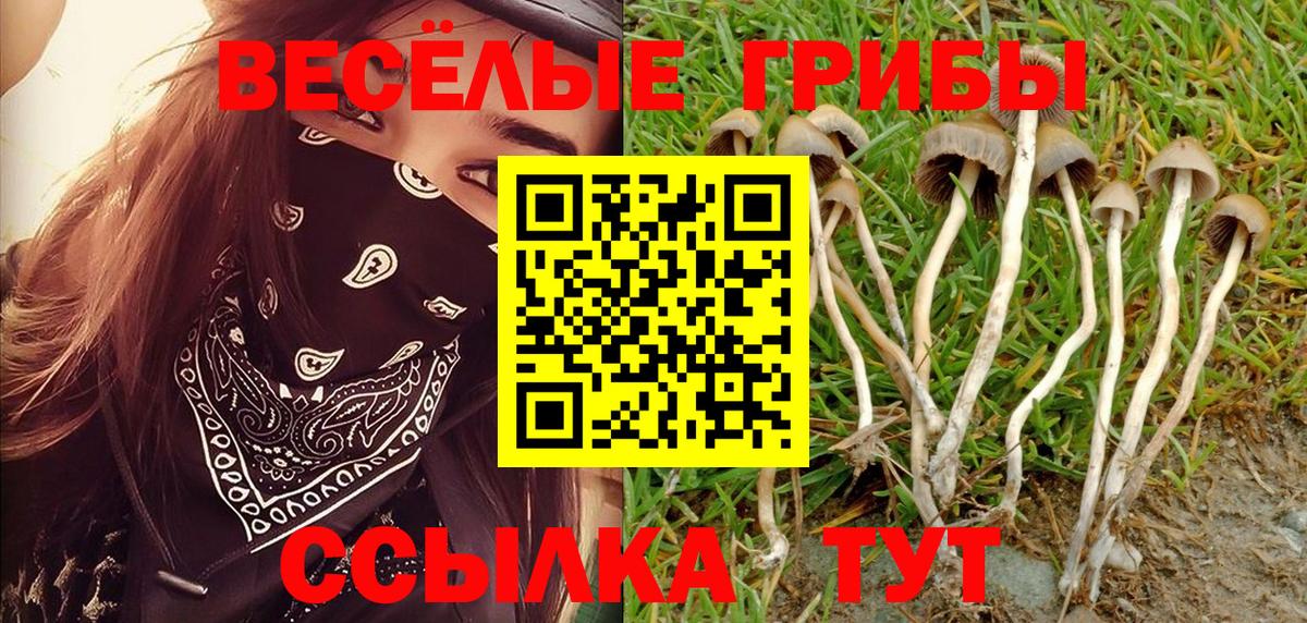 Галлюциногенные грибы GOLDEN TEACHER Благовещенск